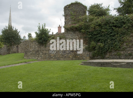 Turm der Abtei und Süd-West Mauer Irland Wexford Town Co Wexford Www Osheaphotography com Stockfoto