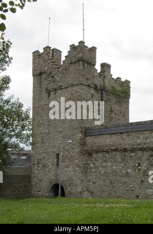 Selskar Gate Tower Wexford Town Co Wexford Ireland Www Osheaphotography com Stockfoto