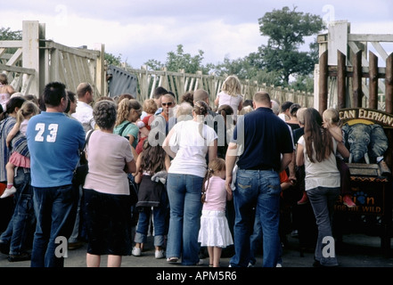 Drängen Sie sich Warteschlangen zu füttern die Elefanten Colchester Zoo Essex UK Stockfoto