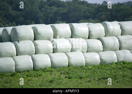 Heuballen abgedeckt mit Kunststoff-Folien in einem Feld, Essex, England, UK. Stockfoto