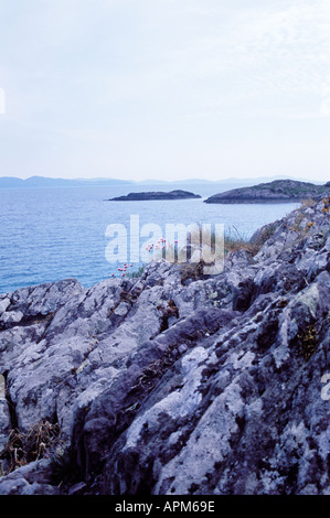 Sparsamkeit und Felsen entlang der Küste auf dem Ring of Kerry Irland Stockfoto