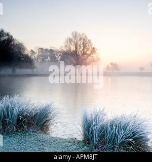 Sonnenaufgang über dem Teich Heron in Bushy Park Richmond upon Thames größere London England UK Stockfoto