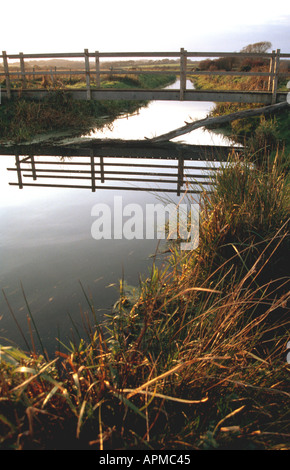 Brücke über eine Wasserstraße in Combe Haven Tal zwischen Hastings und Bexhill East Sussex GB UK EU Stockfoto