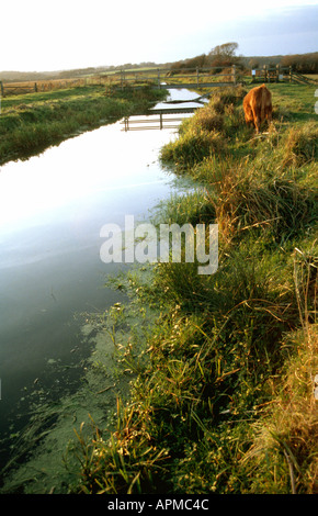 Brücke über eine Wasserstraße in Combe Haven Tal zwischen Hastings und Bexhill East Sussex GB UK EU Stockfoto