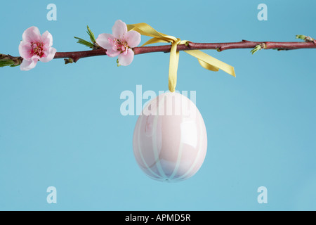 Keramik Osterei auf Cherry Blossom Zweig (close-up) Stockfoto