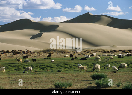 Wüste Gobi Stockfoto