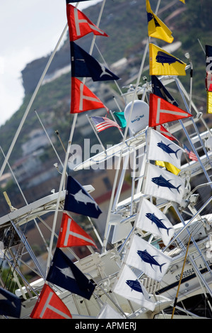 Dekorative Wimpel gehisst auf Hochseeangelfahrten Boote zeigen Fische gefangen, Cabo San Lucas Marina Baja California Sur Mexiko. Stockfoto