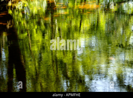 Romantische schimmernde Reflexe in Mill Gill Beck Wensleydale Stockfoto