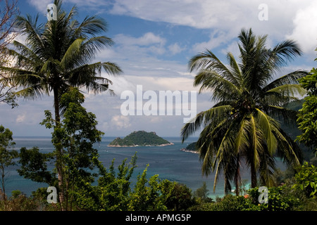 Ko Nang Yuan Dive Resort Insel sehen zwischen Palmen aus nahe gelegenen Insel Koh Tao Thailand Stockfoto