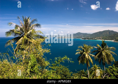 Blick auf die wichtigsten Strände und Palmen aus Sicht in der Nähe von Nai Han Bay Phuket Thailand Stockfoto