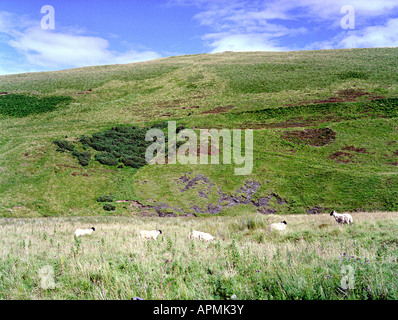 Bilder von Hügeln rund um die Grenzen und die Pentland hills Stockfoto