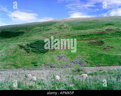 Bilder von Hügeln rund um die Grenzen und die Pentland hills Stockfoto