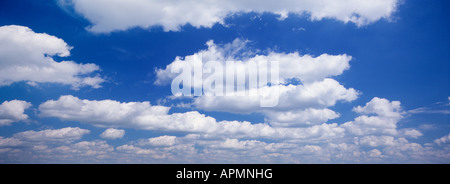 Cumulus-Wolken schweben im tiefblauen Himmel Miami Florida Stockfoto