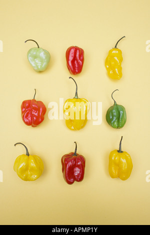 Auswahl von Paprika (direkt über) Stockfoto