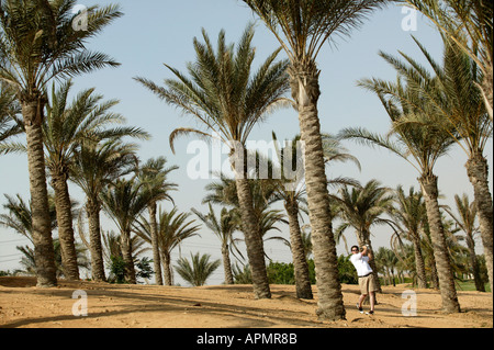Golfen inmitten von Palmen, Ägypten Stockfoto