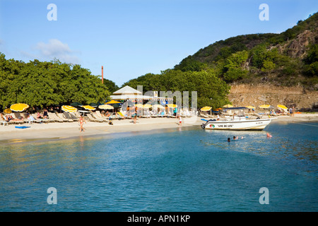 Turtle Beach in kleine Muschel Bay. St Kitts in der Karibik Stockfoto