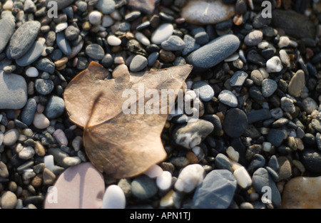 Herbst Stockfoto