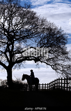 Mädchen auf Pferd Silloutte UK Stockfoto
