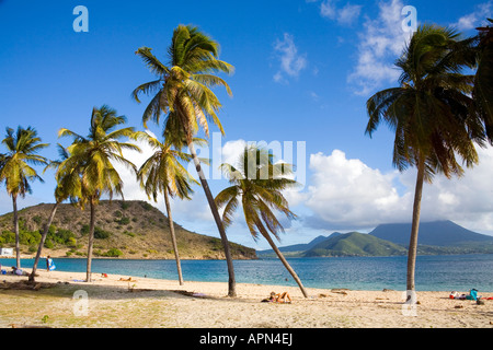 Kleine Muschel Bay Turtle Beach auf St. Kitts in der Karibik Stockfoto