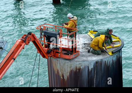 Marine Ingenieure arbeiten an großen konkrete Liegeplätze Stapeln in den Hafen von Dünkirchen nördlichen Frankreich Europa EU Stockfoto