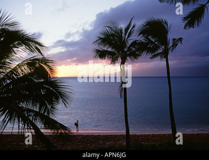 Eine junge Beach Comber schlängelt sich einen Strand St Sonnenuntergang auf Napili Bay an der Westküste von Maui Stockfoto