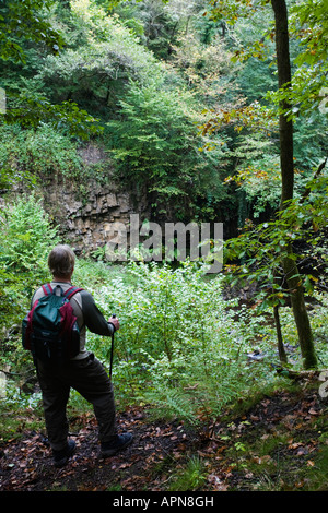 Walker im Wasserfall Land entlang der Nedd Fechan Brecon Beacons National Park Powys Wales Stockfoto