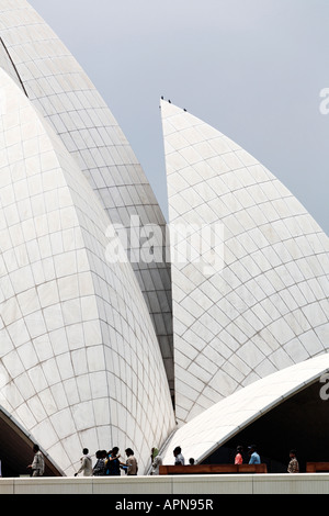 Die Lotus-förmigen Bahai-Tempel in Delhi Indien Stockfoto