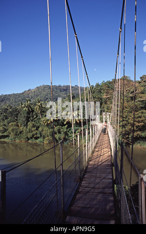 SRI LANKA. Person mit einer Hängebrücke über den Mahaweli Ganga in der Nähe von Kandy. Stockfoto