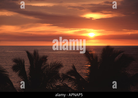 SRI LANKA-Sonnenuntergang am Strand von Negombo Stockfoto