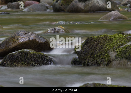 Aira Beck Wasserfall, Lake District, Cumbria, England Stockfoto