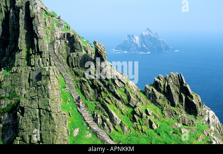 Skellig Michael. Alte Steintreppe führt zu keltischen christlichen Klosters an Spitze der Insel von Skellig Michael, Kerry, Irland. Stockfoto