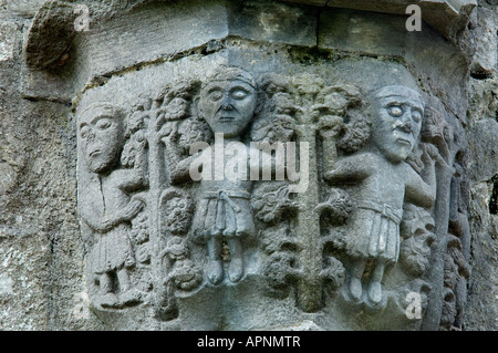 Boyle Abbey, County Roscommon, Irland. 1161 von Zisterziensern gegründet. Stone Carving Detail auf Säule. Stockfoto