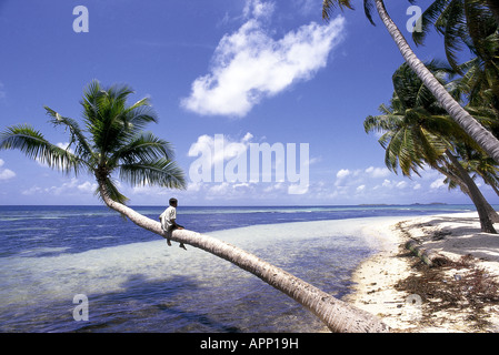 Junge sitzt auf einer Palme, die über dem Meer an einem Strand auf den Malediven. Stockfoto