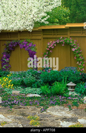 Hoher Holzzaun als Kulisse für den Garten mit blühenden Weinstöcken, Pfad und Terrasse, Missouri USA Stockfoto