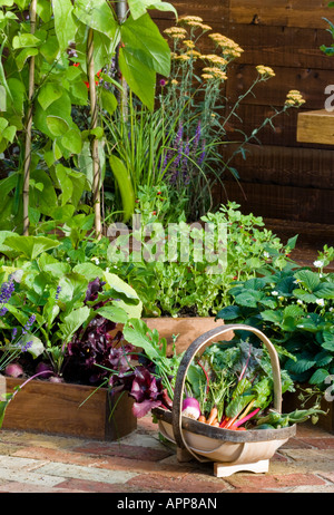 Trug der Gemüse zwischen Hochbeeten einschließlich Mangold Bright Lights Tomate Santa Möhren-Zucchini-Bohnen-Salat Stockfoto