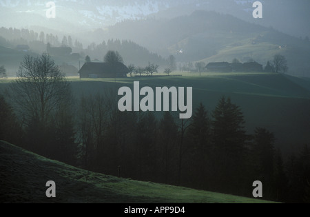 Dairyfarms Morgen Nebel Spätherbst Eriz Berner Oberland Kanton Bern Schweiz Stockfoto