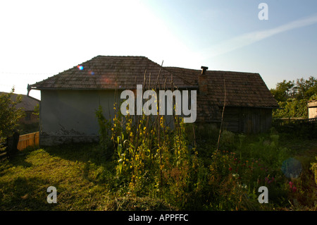 ATIA, traditionelles Dorf der ungarischen Minderheit in Rumänien in Hargitha, mit Stadtblick Stockfoto