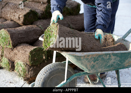 Gärtner laden rollt Rasen Gras von einer Palette auf eine Schubkarre Belfast Nordirland Vereinigtes Königreich Stockfoto