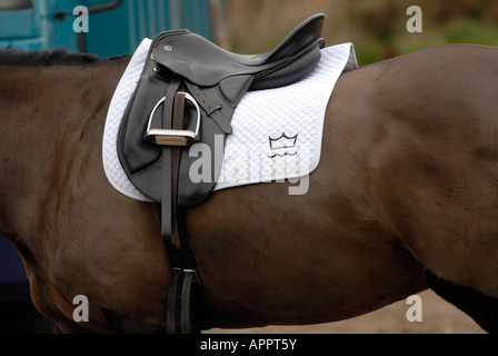 ein Sattel und Steigbügel Tack und Tuch auf einem Pferde zurück Widerrist Zaum bereit zu reiten Stockfoto