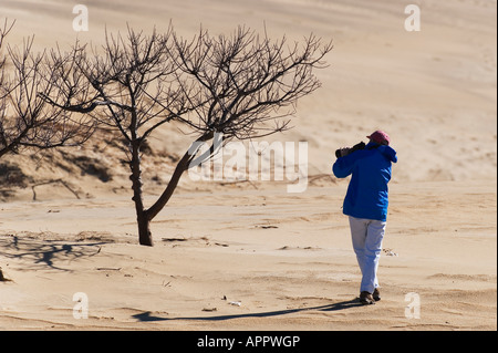 Eine Fotografin, schießen die Bäume und Sanddünen im Jockeys Ridge State Park in der äußeren Banken NC Stockfoto