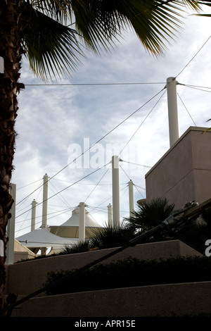 Wüste Zaun Mauer Palme blauen wolkenlosen Himmel California west grüne Wedel Sonne Luft Hafen Flughafen Flug Zeitplan Board Post lob Stockfoto