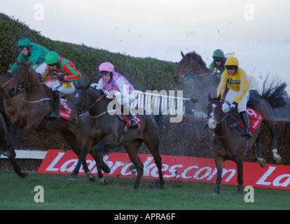 Pferde springen ein Hindernis bei einem Pferd Rennen treffen auf Sandown Park Stockfoto