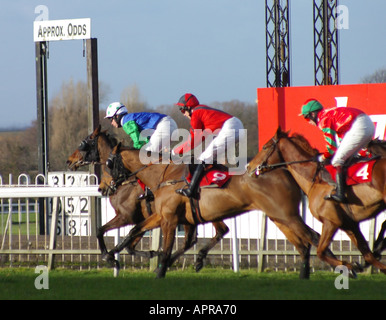 Pferde galoppieren auf einem Pferd Rennen Treffen im Sandown Park Stockfoto