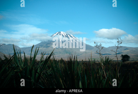 Mt Ngauruhoe der perfekte konische Vulkan Tongariro National Park Nordinsel Neuseeland Stockfoto