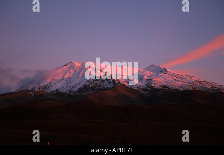 Sonnenuntergang über den höchsten Berg Mount Ruapehu Nordinsel Neuseeland Stockfoto