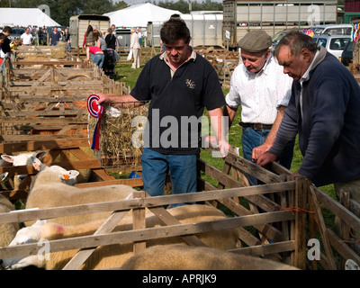 Hirten mit Preis gewinnende Schafe am Stokesley Agrcultural show 2006 Stockfoto