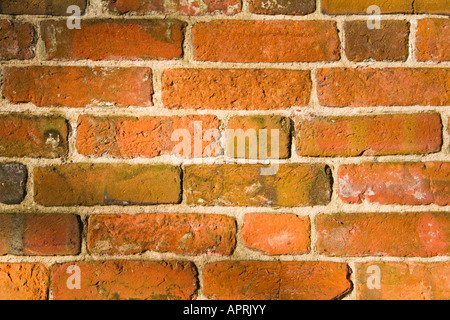 Sonnenlicht auf eine alte Mauer.  Englische Band. VEREINIGTES KÖNIGREICH. Stockfoto