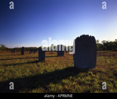 Magnetischen Termitenhügel im Litchfield National Park Northern Territory Australien Stockfoto