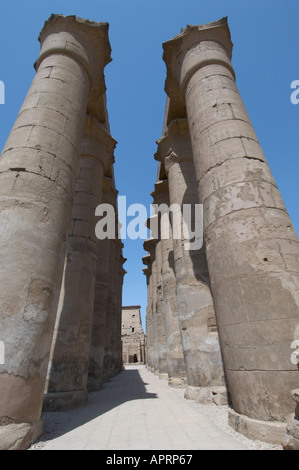 Kolonnade von Amenhotep III, Amun-Kamutef Tempel, Luxor, Ägypten Stockfoto