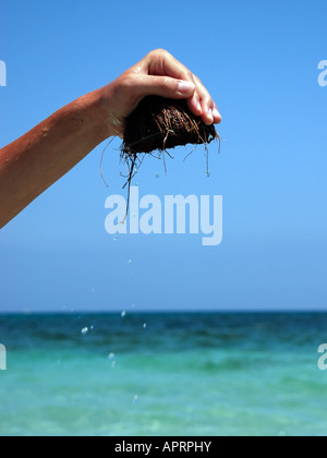 Öffnen Sie Kokosnüsse und Kokos fließt ins Meer Stockfoto